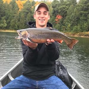 Meet your Posher, Colin